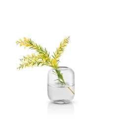 Acorn vas - 16,5 cm - Clear