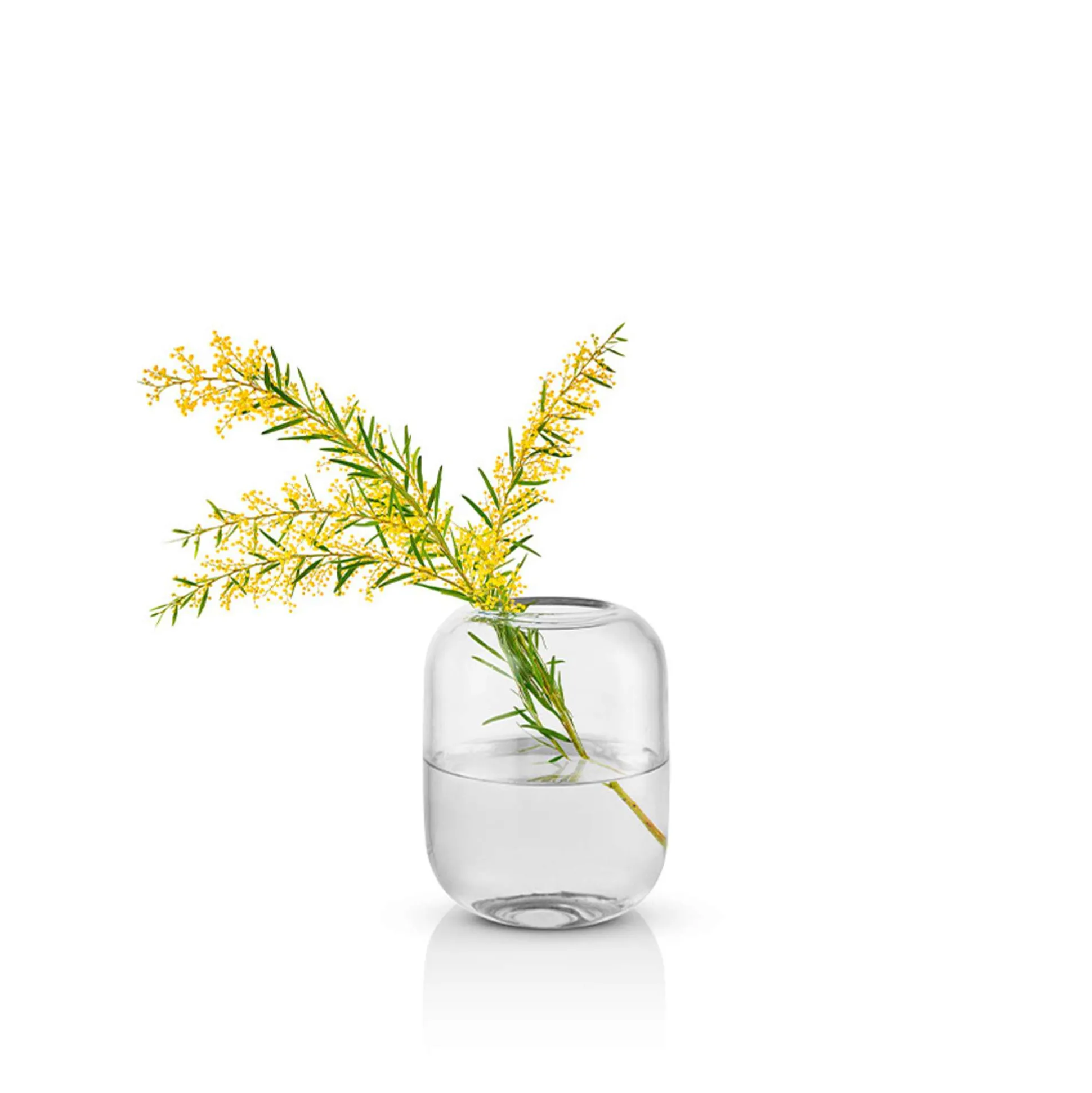 Acorn vas - 16,5 cm - Clear