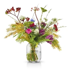 Acorn vas - 16,5 cm - Clear