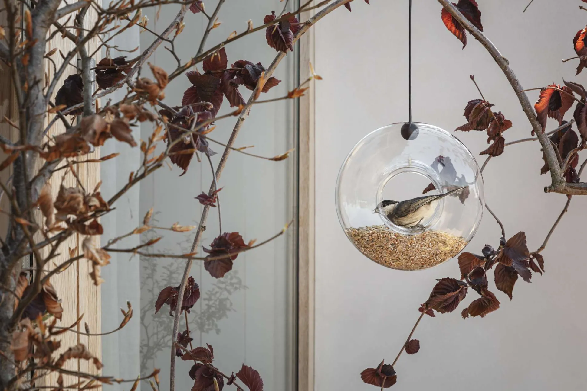Fågelmatare - glas