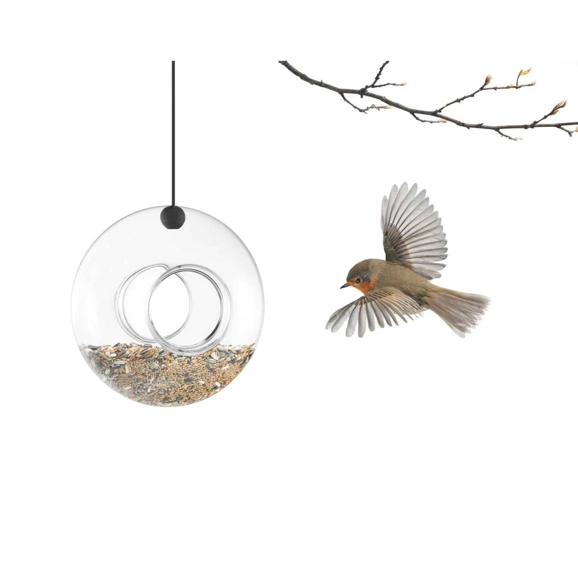 Fågelmatare - glas