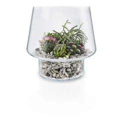 Glasvas för suckulenter - Ø 21 cm
