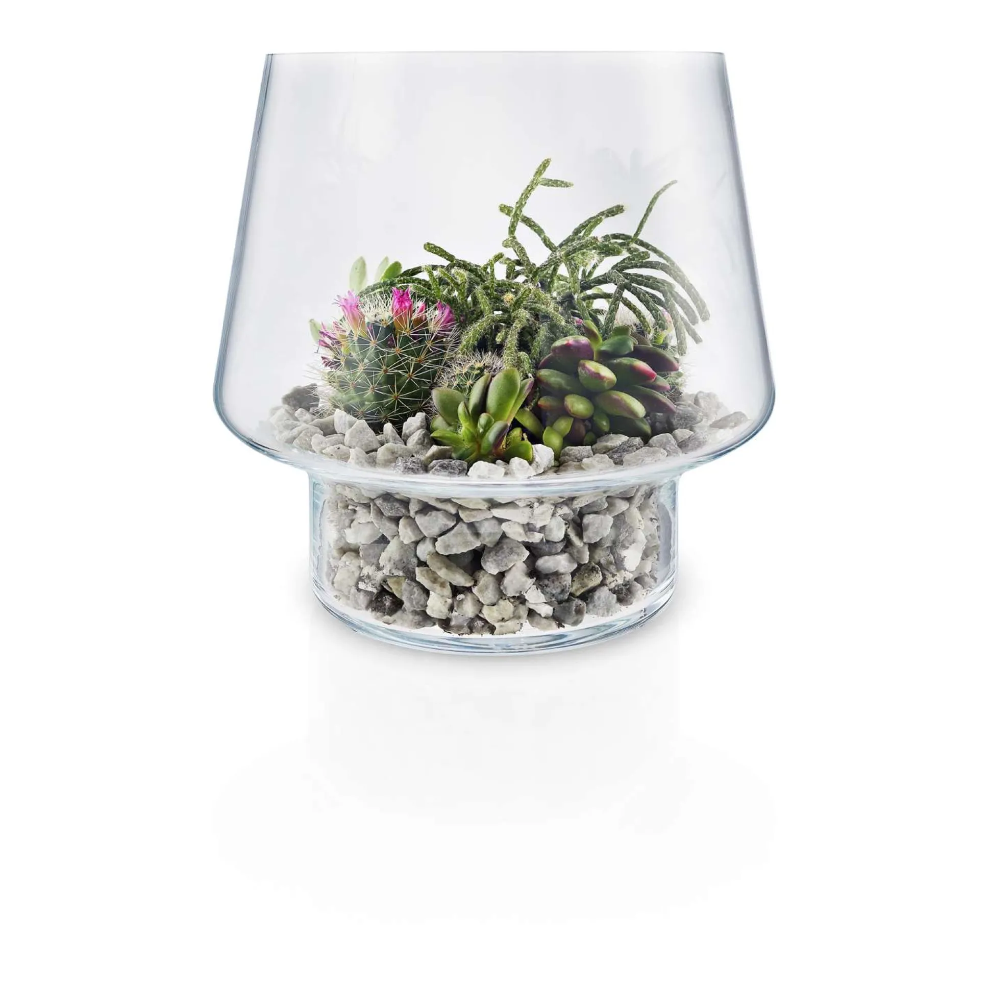 Glasvas för suckulenter - Ø 21 cm