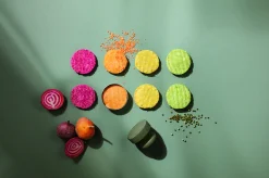 Hamburgerpress - Green tool