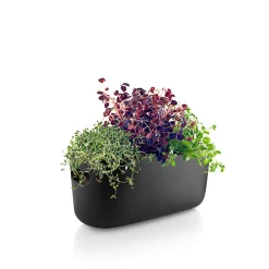 Herb organiser - Självvattnande - Svart