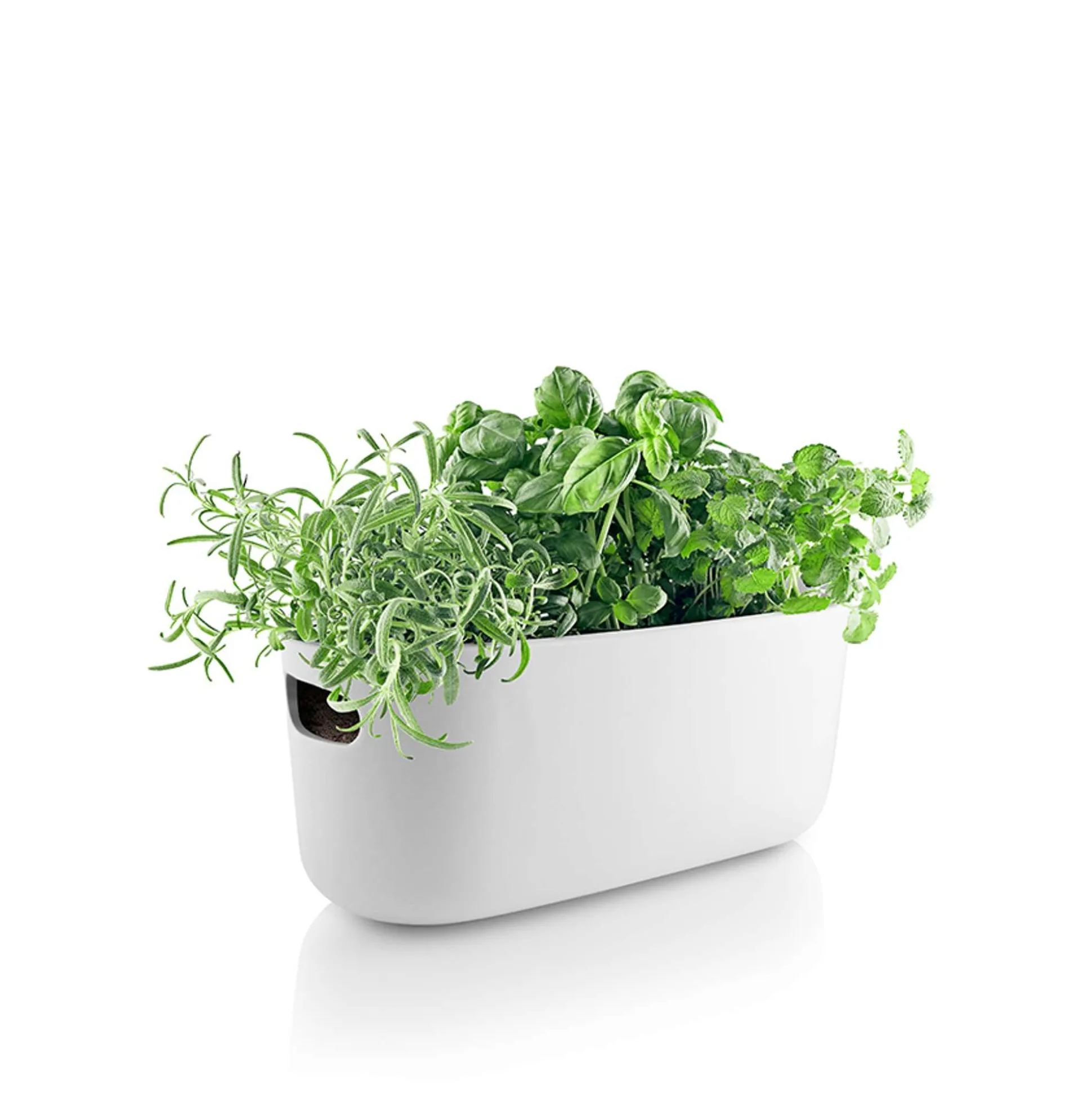 Herb organiser - Självvattnande - Vit
