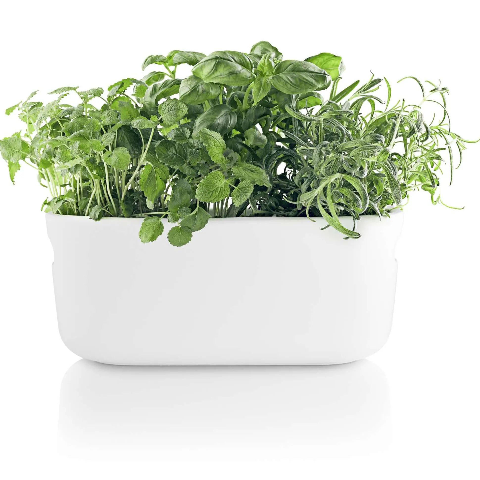 Herb organiser - Självvattnande - Vit