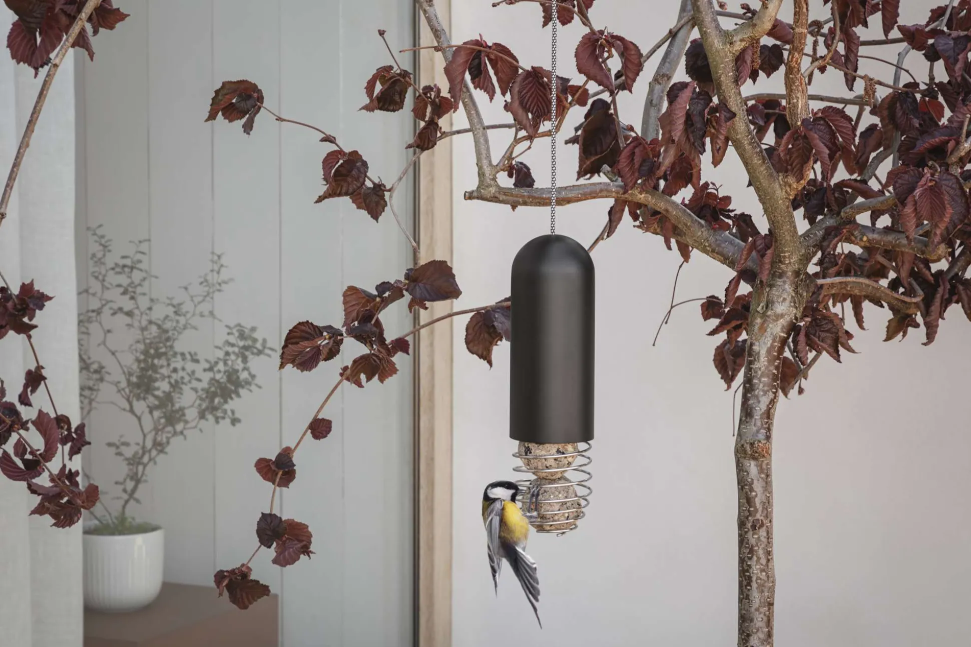 Hängande talgbollshållare