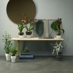 Orkidékruka - Ø15 cm. - självvattnande