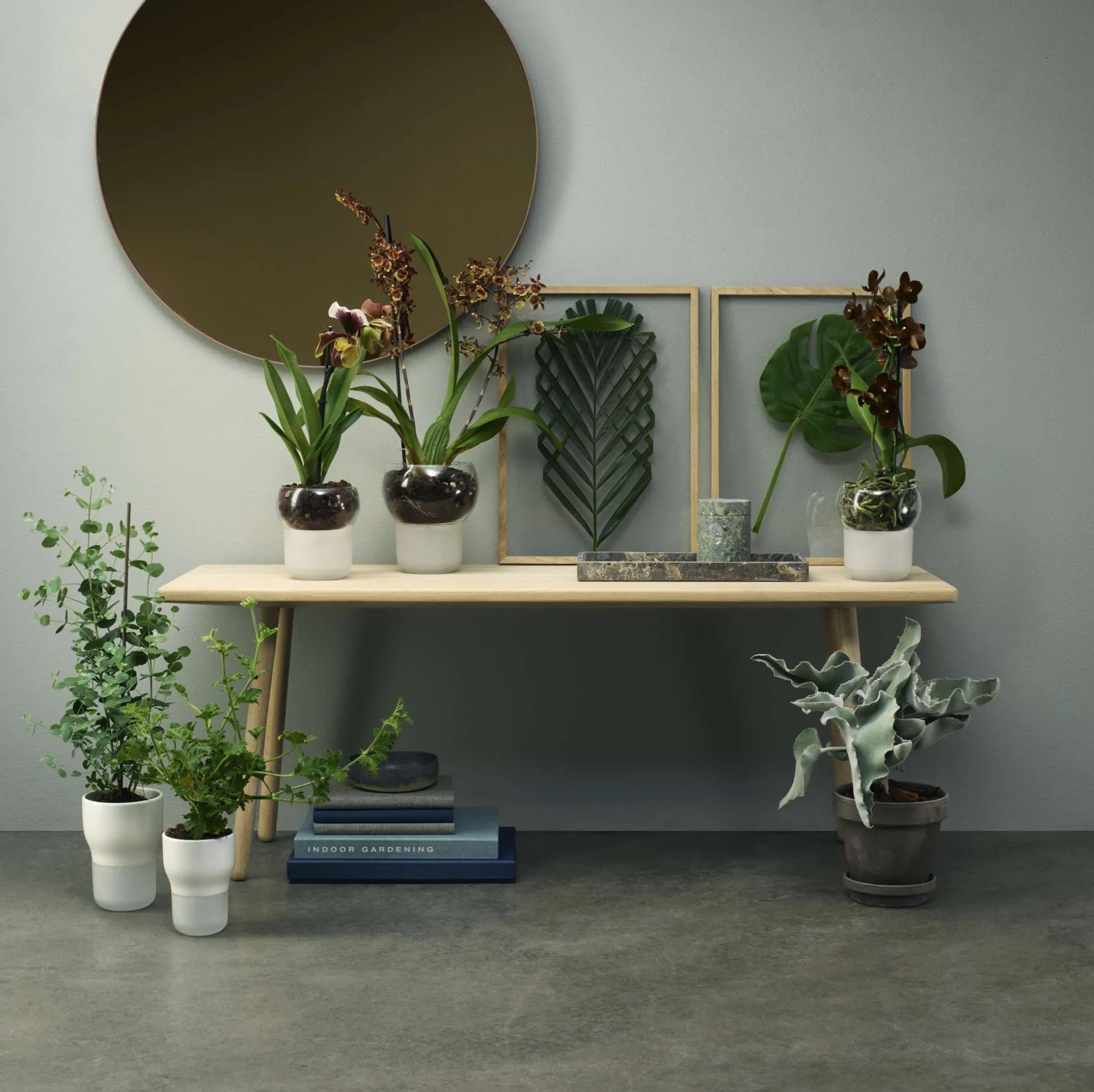 Orkidékruka - Ø15 cm. - självvattnande