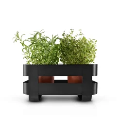 Självvattnande Herb organiser stål - Black
