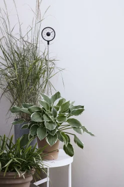 Stående utomhustermometer