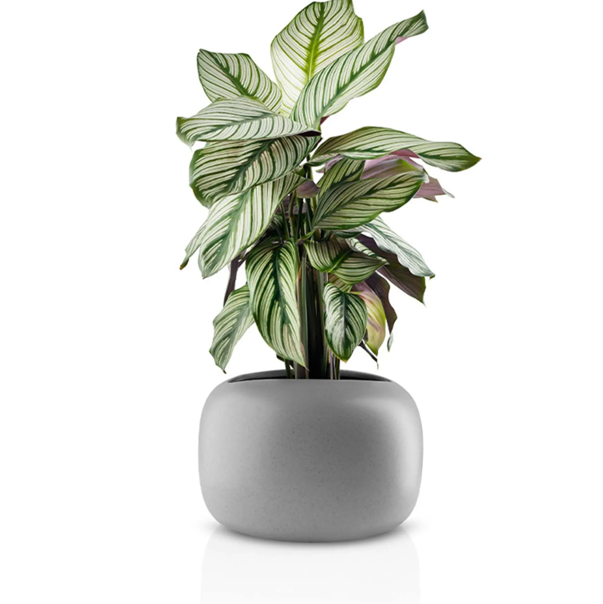 Stone blomkruka - Ø 19 cm - Keramik