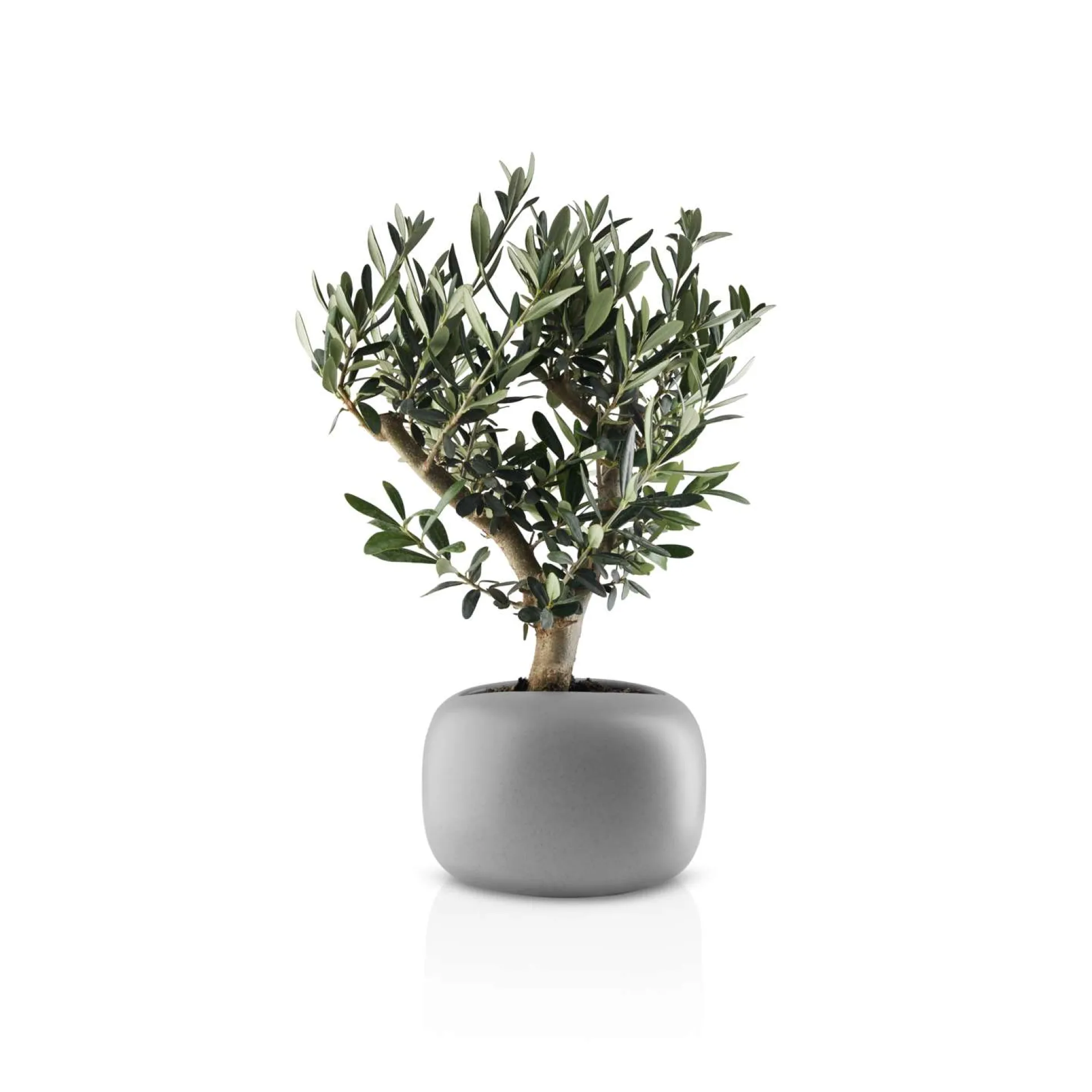 Stone blomkruka - Ø 19 cm - Keramik