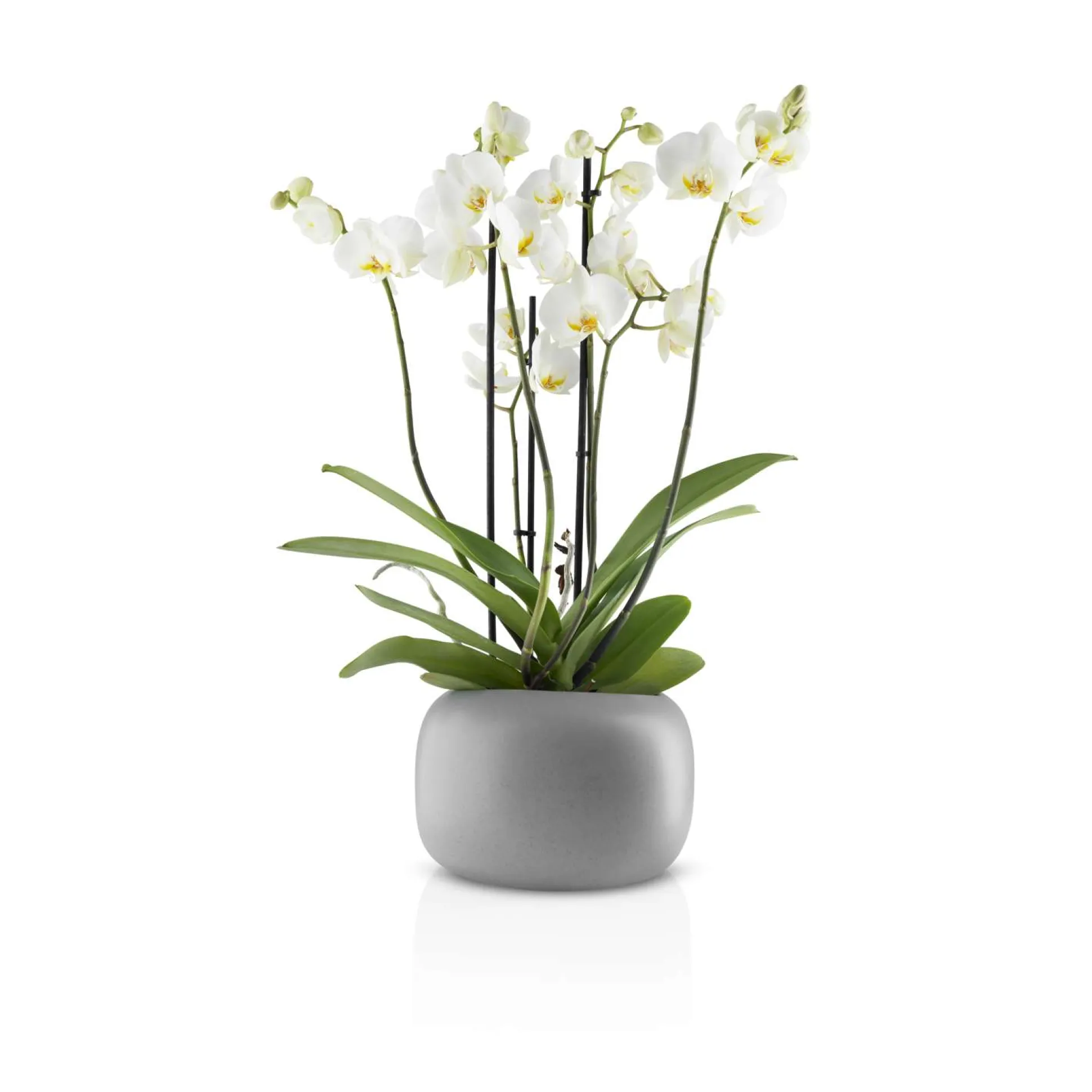 Stone blomkruka - Ø 19 cm - Keramik