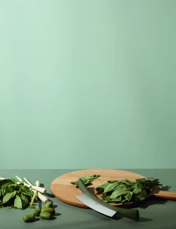 Vaggkniv - Green tool