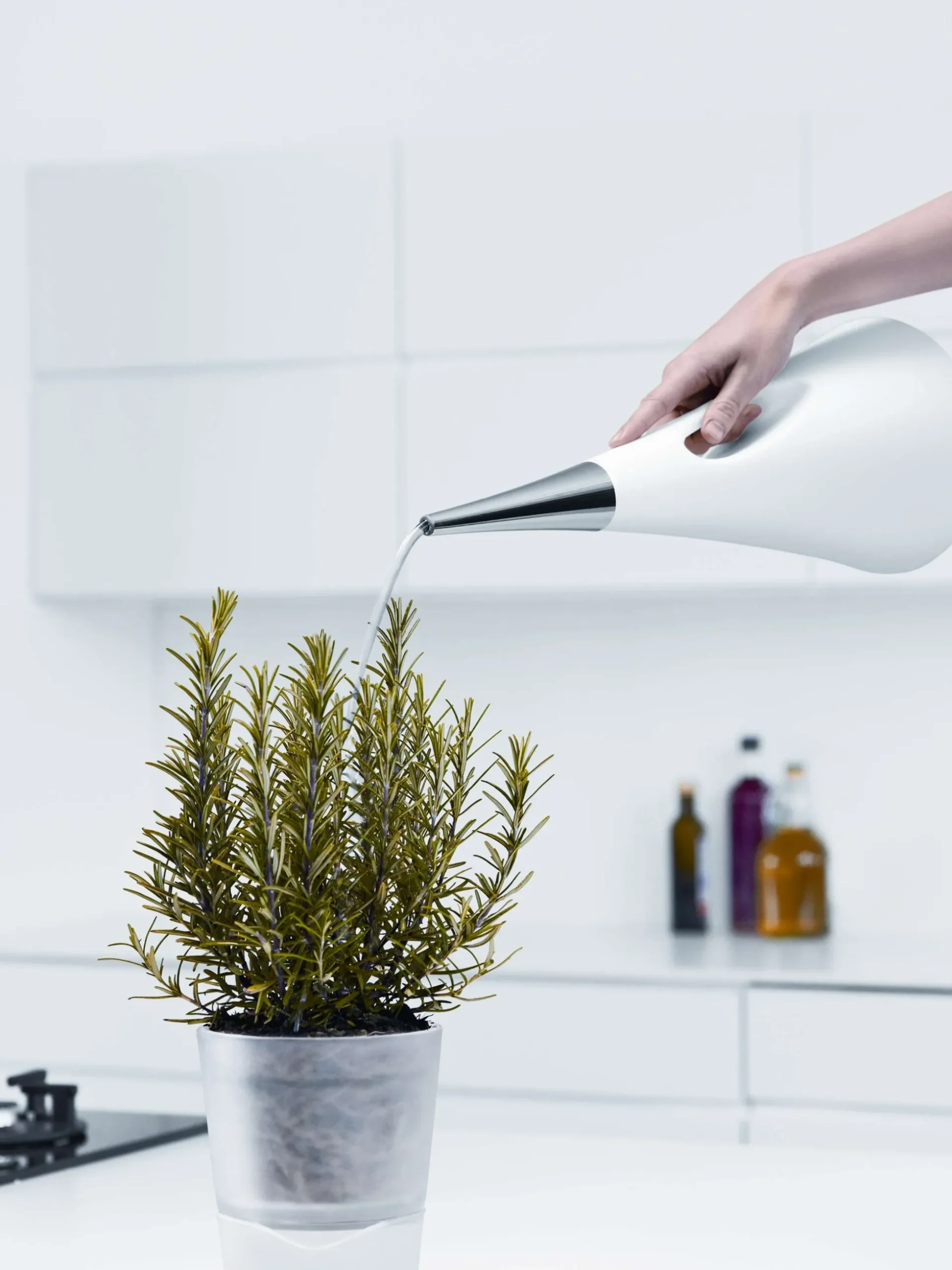 Vattenkanna - AquaStar - Grey